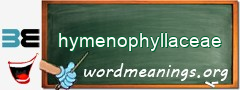 WordMeaning blackboard for hymenophyllaceae